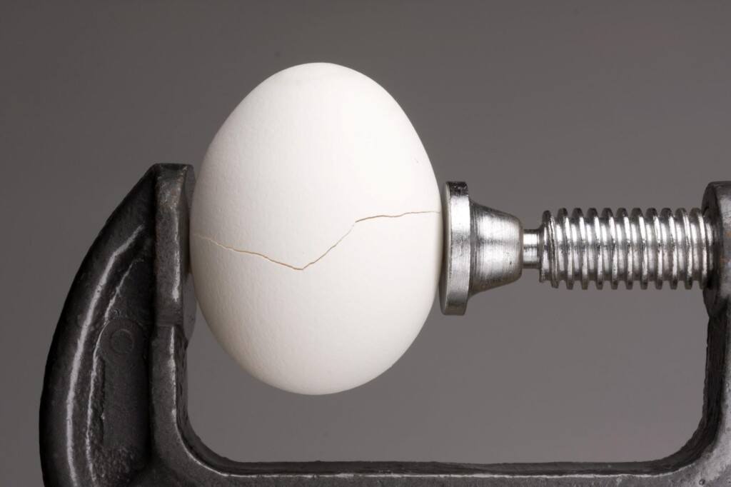 Altas do milho e da soja pressionaram os produtores de ovos, que viram sua rentabilidade praticamente desaparecer