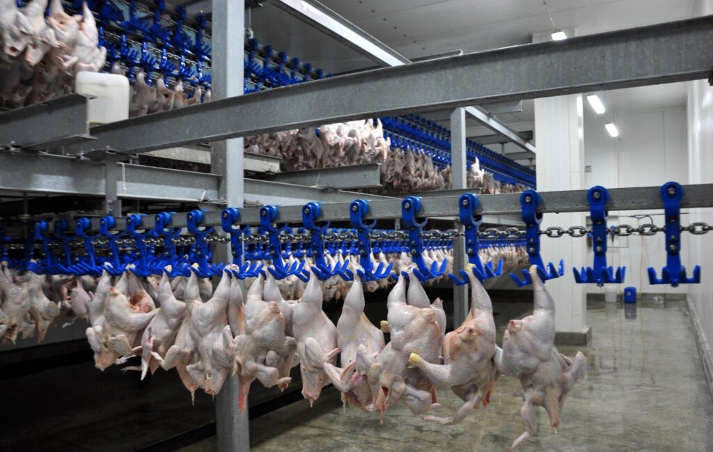 Problemas com buchas e rolamentos podem paralisar a linha de produção, por isto devem ser alvo de inspeções rotineiras