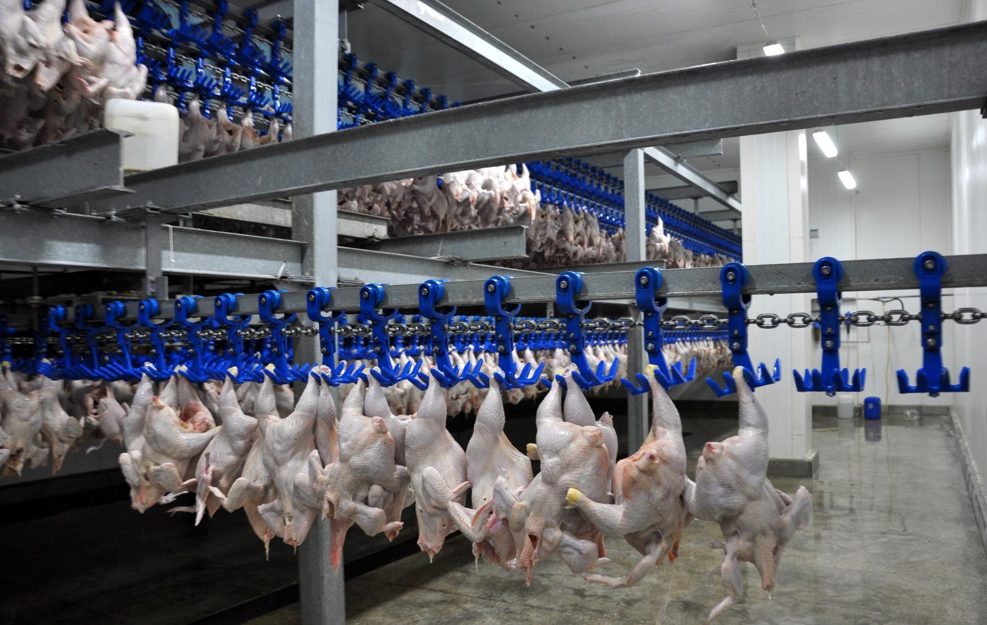 EUA aplicam multa de US$ 1 milhão após morte de 6 funcionários em produtora de frango