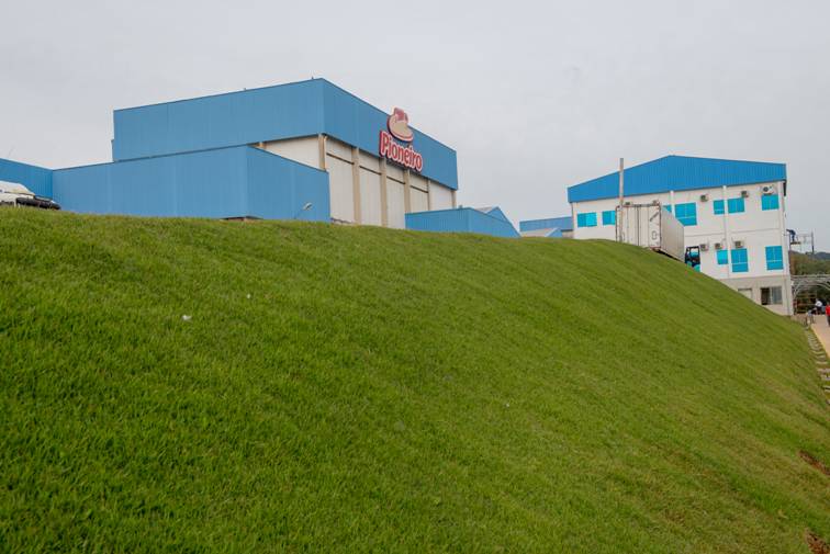 Frangos Pioneiro está entre as dez melhores empresas avícolas do país