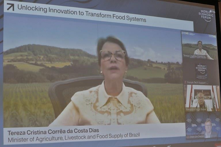 Inovação é única ferramenta capaz de aliar segurança alimentar e sustentabilidade, diz ministra