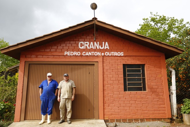 Produtores gaúchos criam suínos em ‘condomínios’