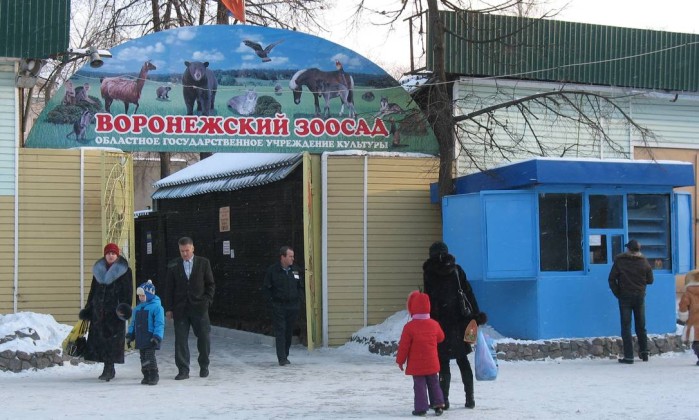 Zoológico russo sacrifica todas as aves por causa da gripe aviária