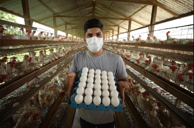 Revitalização da AM-010 ajudará avicultura regional, aponta granjeiro de Manaus