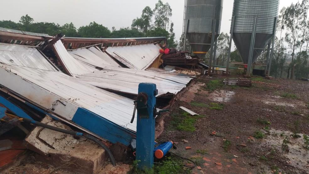 Temporal causa queda de aviário com 20 mil frangos, em Assis Chateaubriand
