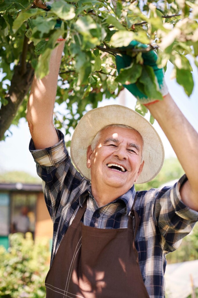Dia do Agricultor: agricultura familiar fortalecendo a produção nacional