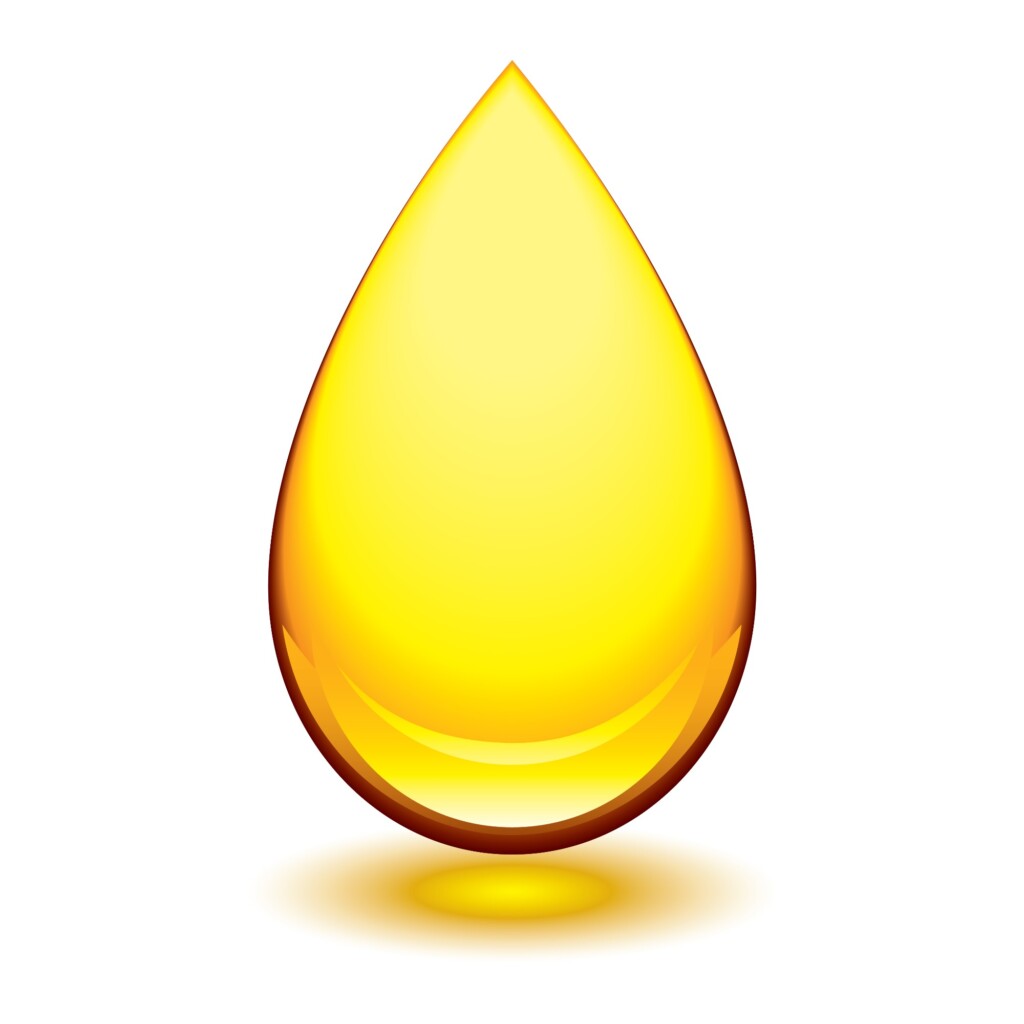 Congresso vai reunir especialistas do Brasil e do exterior para discutir a produção de biodiesel no País