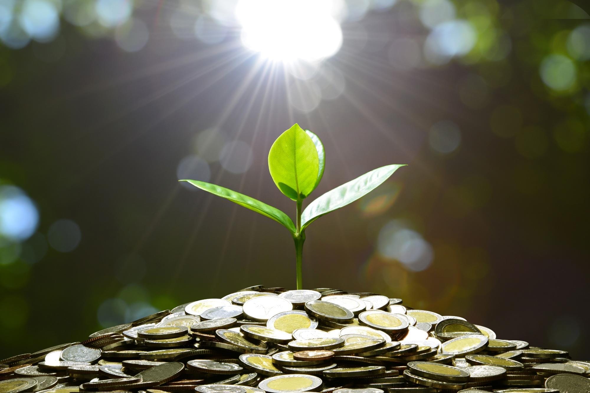 Breve retrospecto macroeconômico do agronegócio em 2020