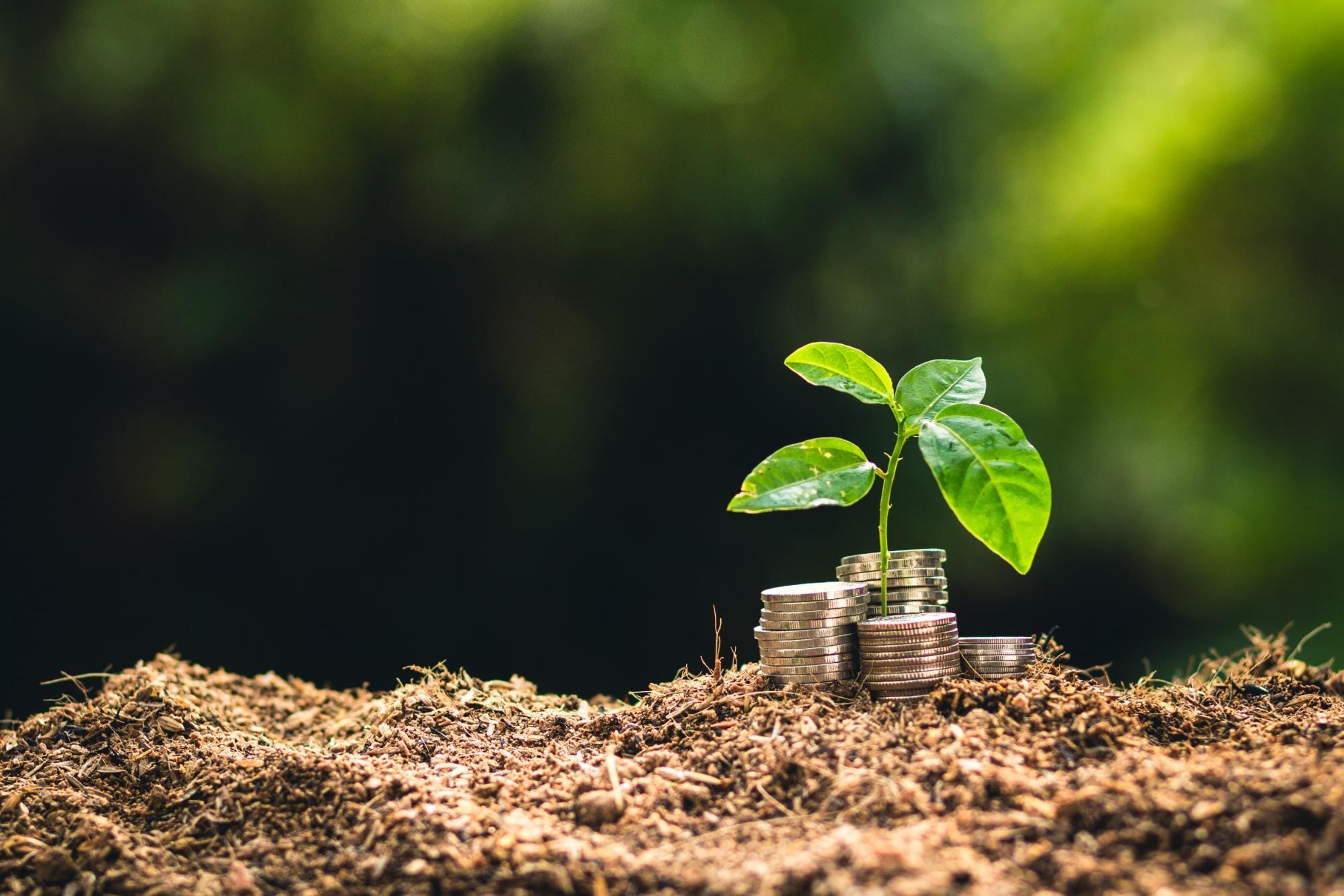 Planos para novos Fiagro começam a sair do papel