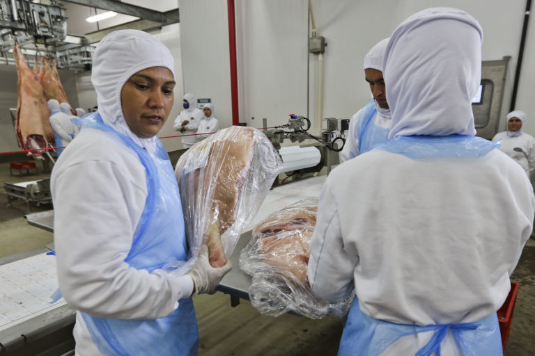 Frigorífico Dom Porquito começa a exportar para a Bolívia em junho