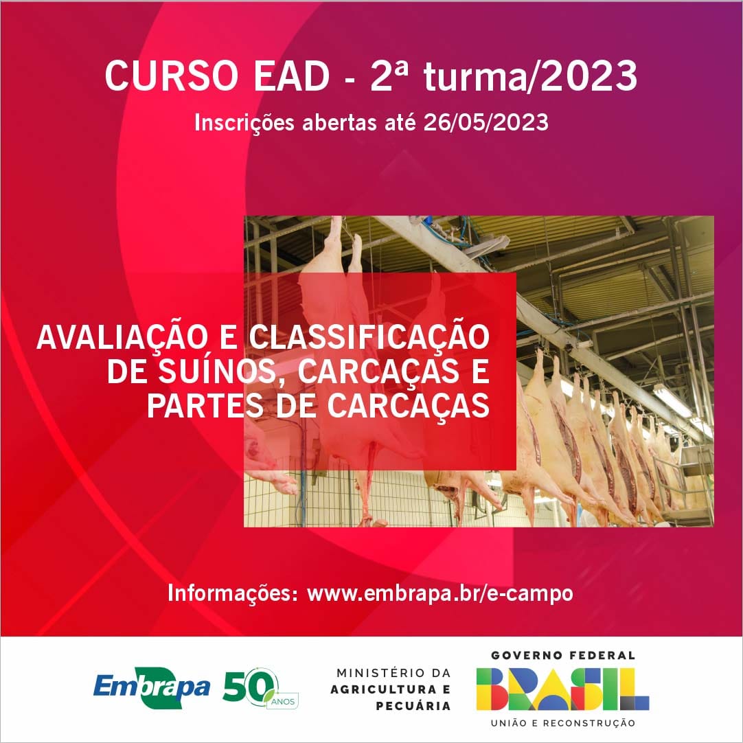 Embrapa: abertas inscrições para curso a distância sobre avaliação de carcaças de suínos