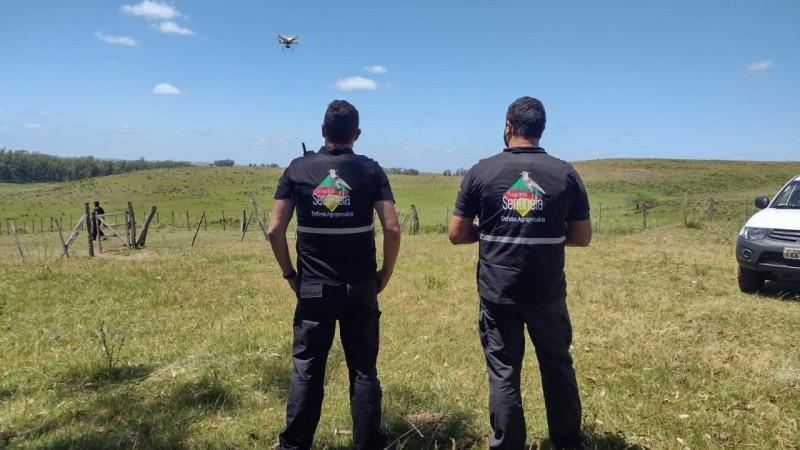 Programas Sentinela e Guaritas usam drones para fiscalização agropecuária na Fronteira