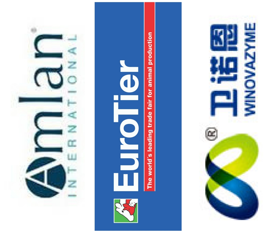 Feiras de negócios: vitrine para o mundo