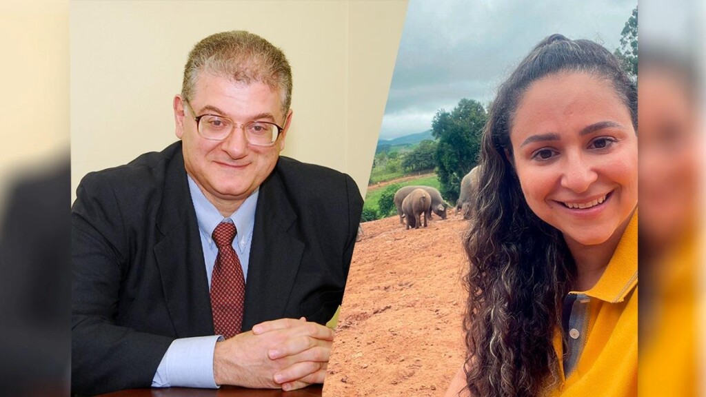 Na próxima semana, TV Gessulli terá lives sobre segmento genético avícola e mercado premium de carne suína