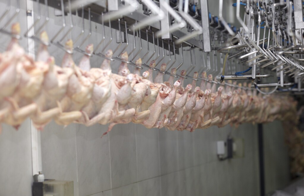 Exportações de carne de frango atingem maior volume já registrado pelo setor em um único ano