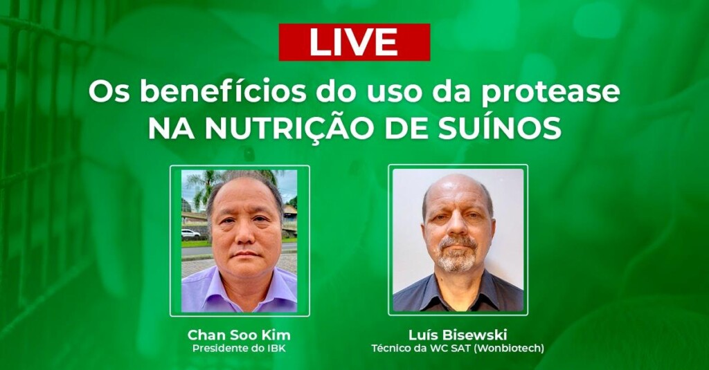 HOJE: Canal TV Gessulli discute aspectos nutricionais em dietas para suínos