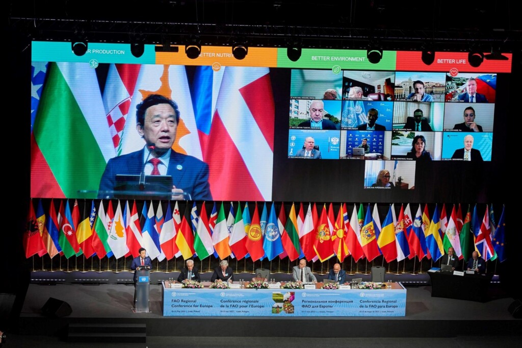 Europa e Ásia Central discutem maneiras de garantir a segurança alimentar diante guerra na Ucrânia