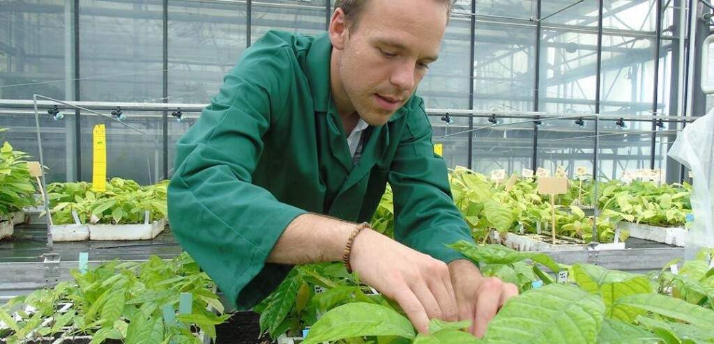 Nestlé terá novo instituto de pesquisa para reforçar expertise em ciências agrícolas