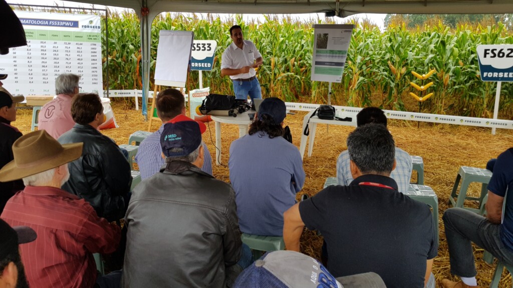 Dia de campo ajuda produtor a obter silagem de alta qualidade