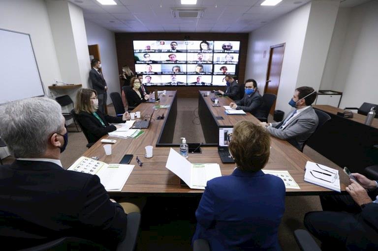 Ministra discute com adidos agrícolas cenários para o setor após a pandemia