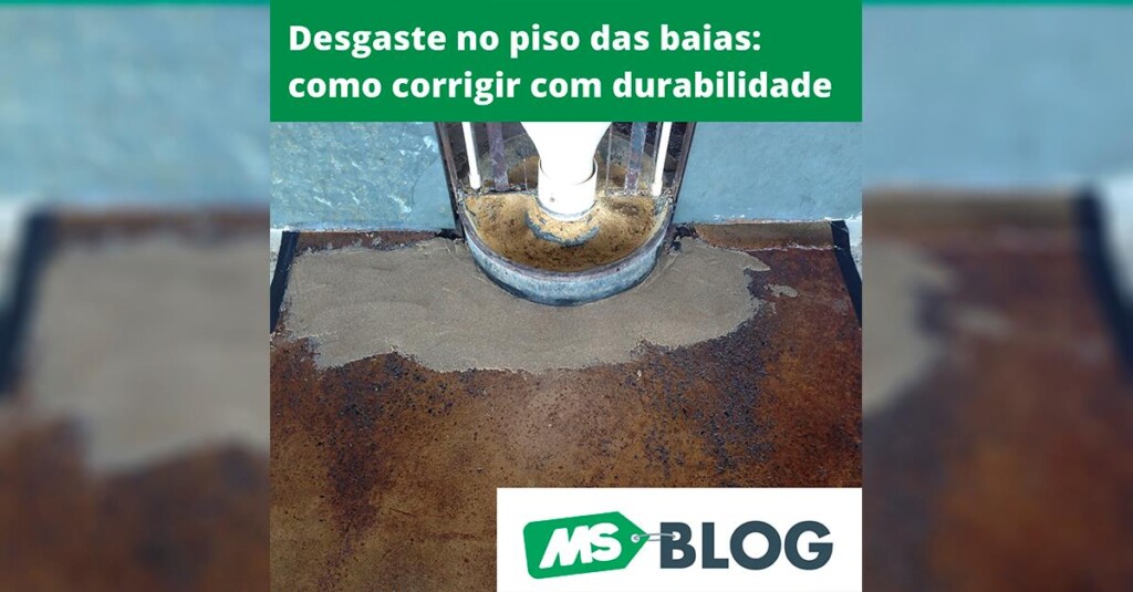 Desgaste no piso das baias de suínos: como corrigir com durabilidade