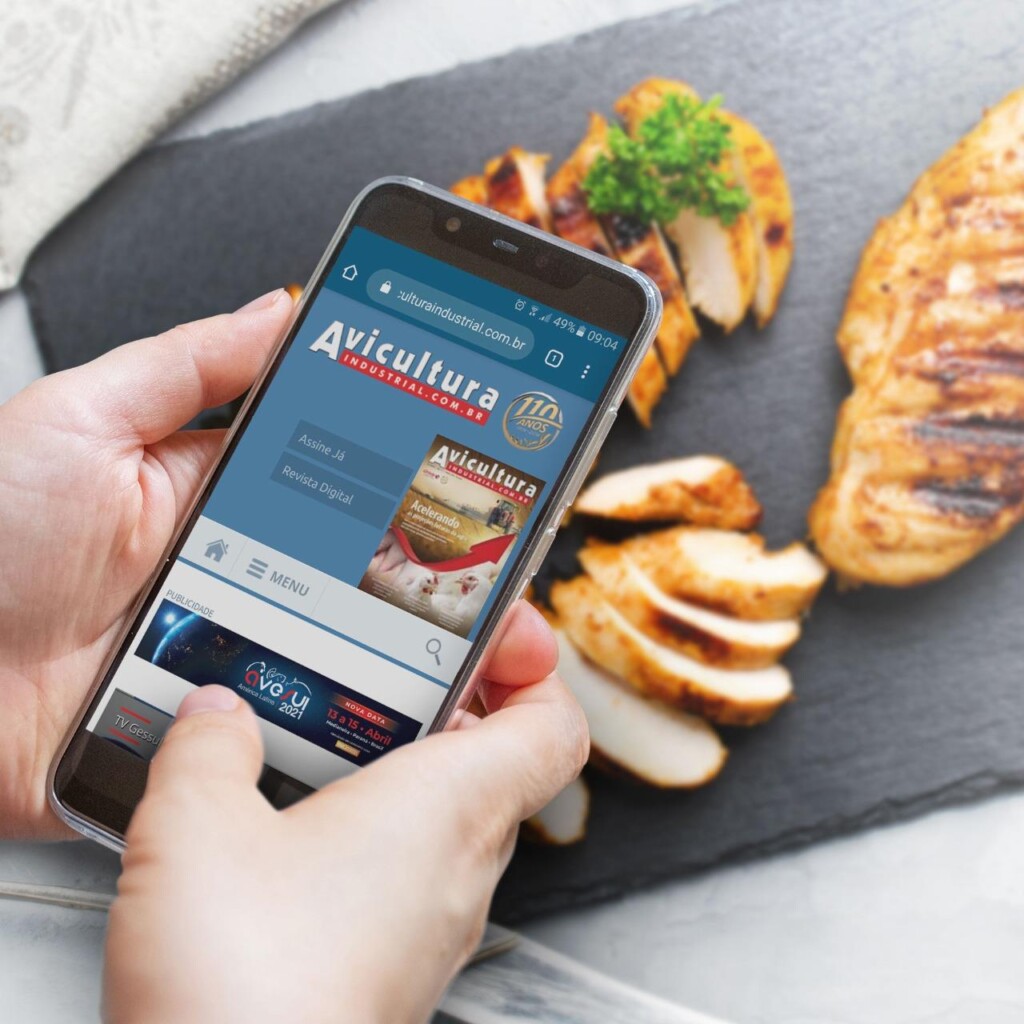 Quer receber as principais notícias da Avicultura no seu Whatsapp?