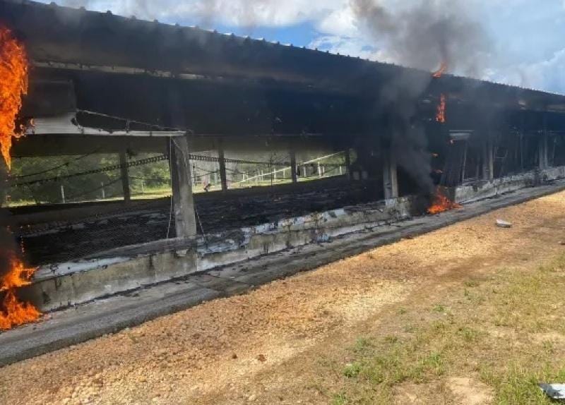 Incêndio destrói aviário em Nova Mutum