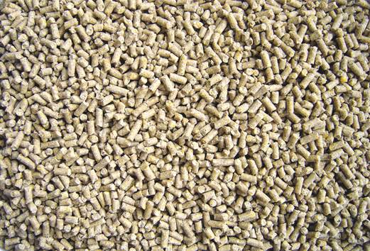 Vantagens da peletização de rações na nutrição de suínos – por Diego Duran