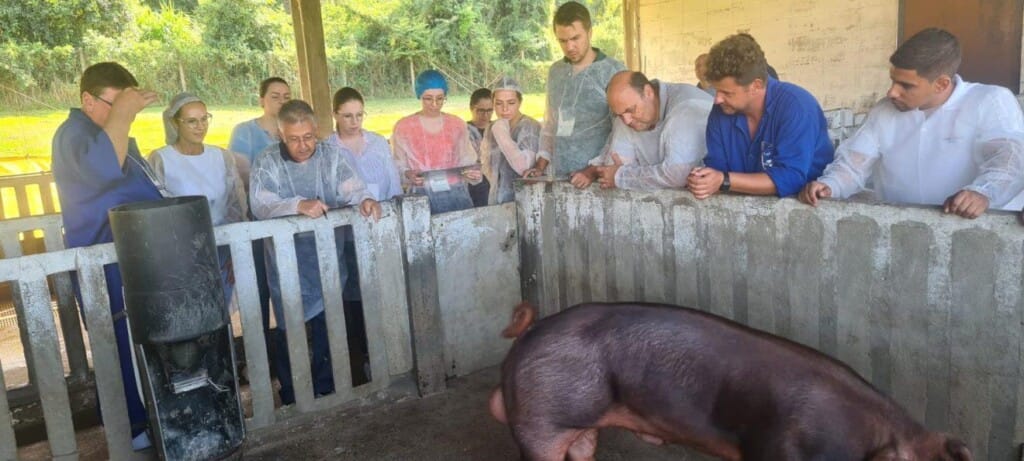ABCS credencia profissionais para atuar na área de inspeção zootécnica nas granjas de genética suína