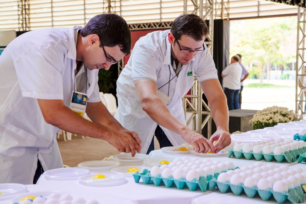 Coopeavi realiza terceira edição do Concurso de Qualidade de Ovos