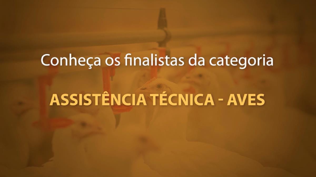 Três mulheres concorrem à Categoria Assistência Técnica – Avicultura do “Quem é Quem”