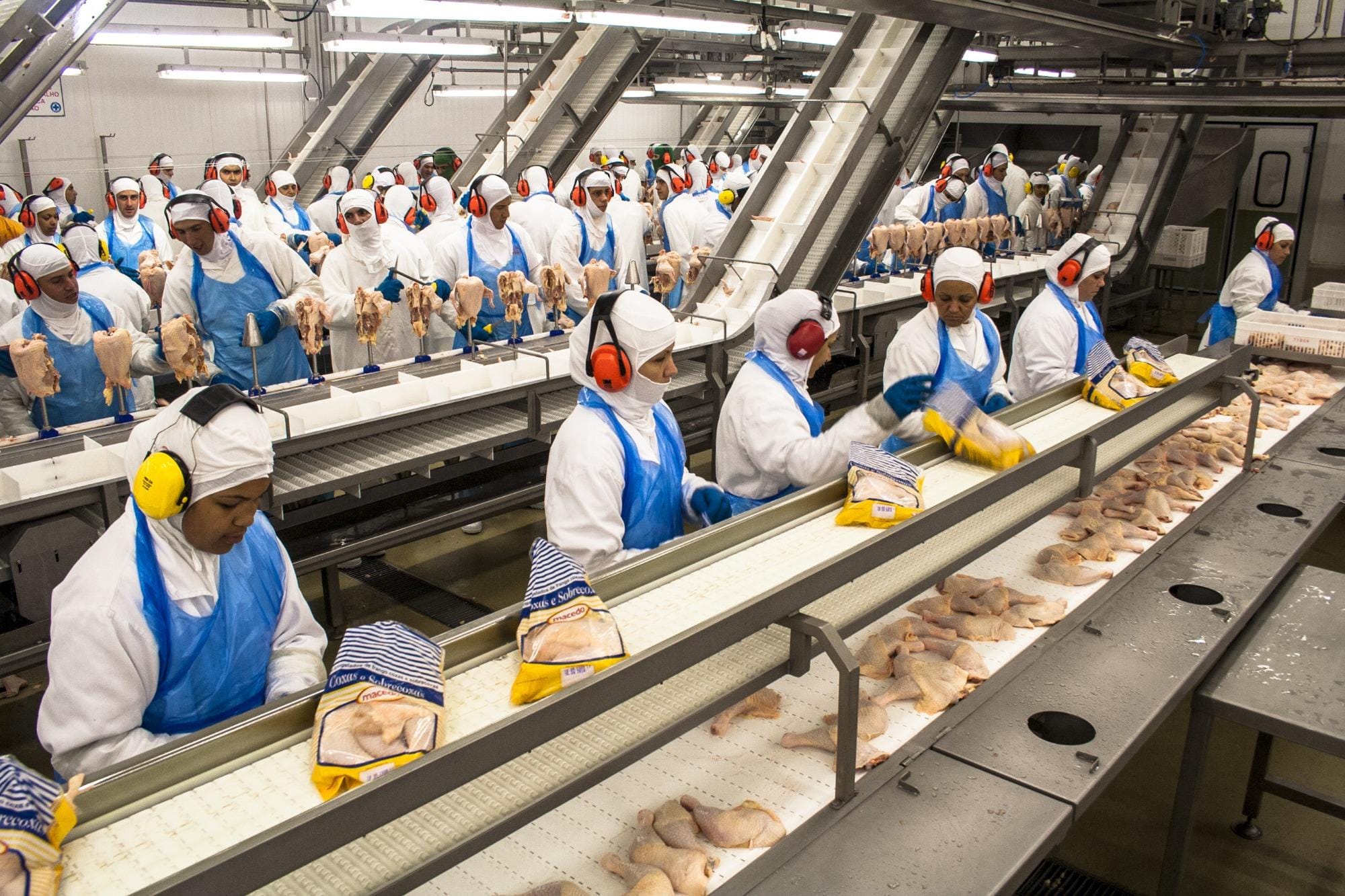 Frigoríficos no RS contrataram 5 mil trabalhadores desde o início da pandemia