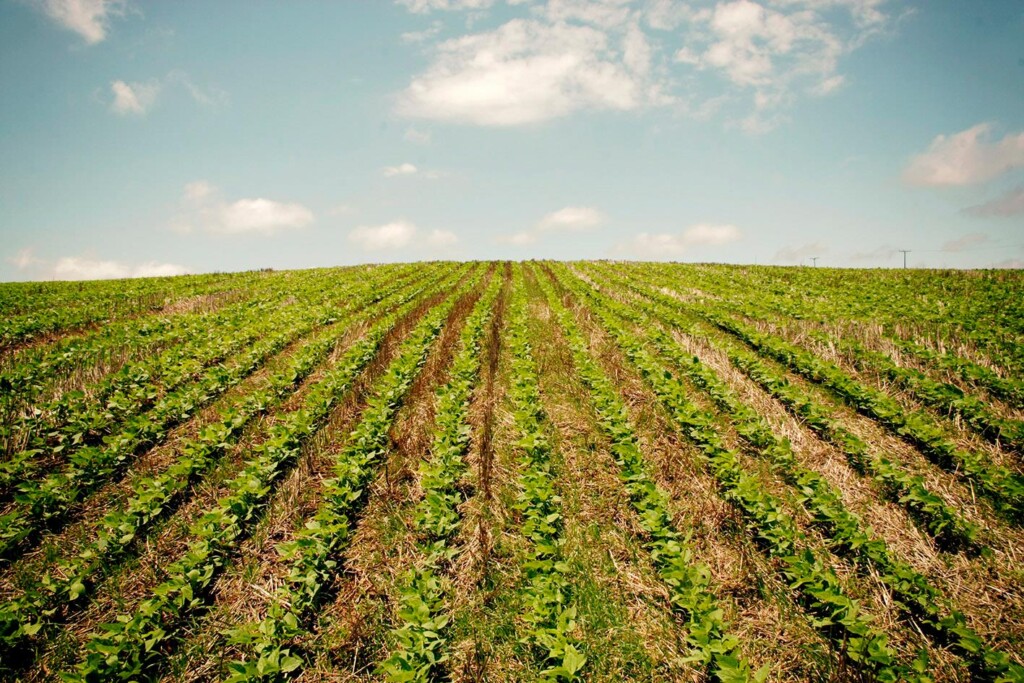 Produtores rurais já podem emitir o Certificado de Cadastro de Imóveis Rurais (CCIR) 2023