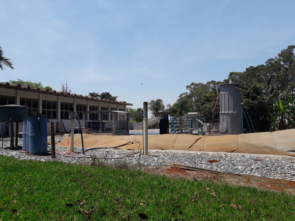 Tratamento de efluentes da suinocultura tem menor custo e alto valor agregado à produção