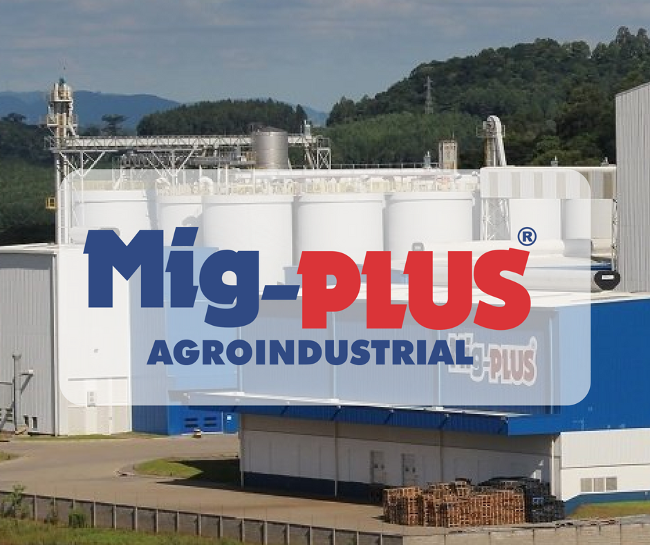Mig-Plus lança linha de produtos para nutrição de suínos na AveSui