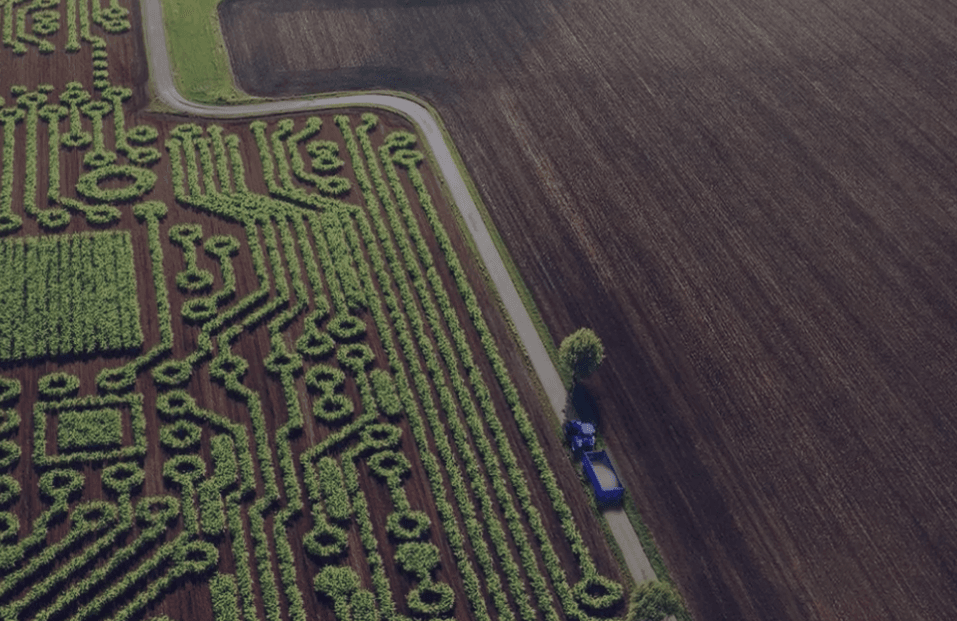 Critérios para priorização de tecnologias de baixo carbono para reduzir emissões de GEE