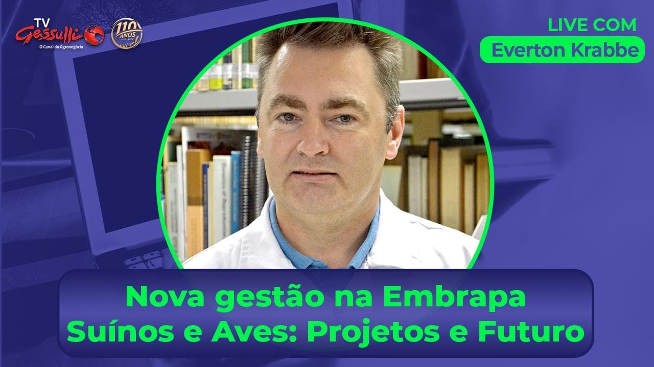 Everton Krabbe, novo chefe-geral da Embrapa Suínos e Aves, participa de live na TV Gessulli Everton Krabbe, novo chefe-geral da Embrapa Suínos e Aves, participa de live na TV Gessulli
