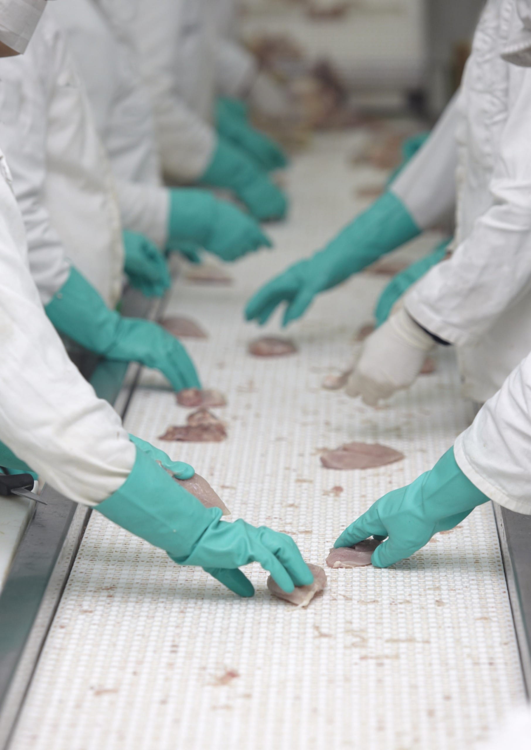 Com conceitos modernos, decreto revisa inspeção de produtos de origem animal e prevê penas mais severas