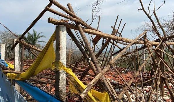 Tempestade e chuva de granizo causam estragos em granjas e derrubam árvores em São Pedro