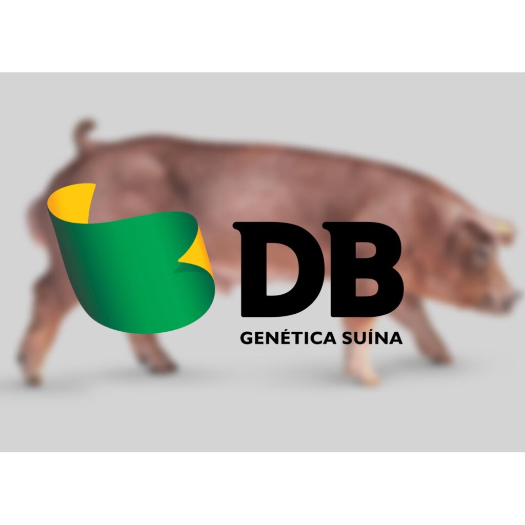 Genética com destaque em performance zootécnica será apresentada na AveSui EuroTier