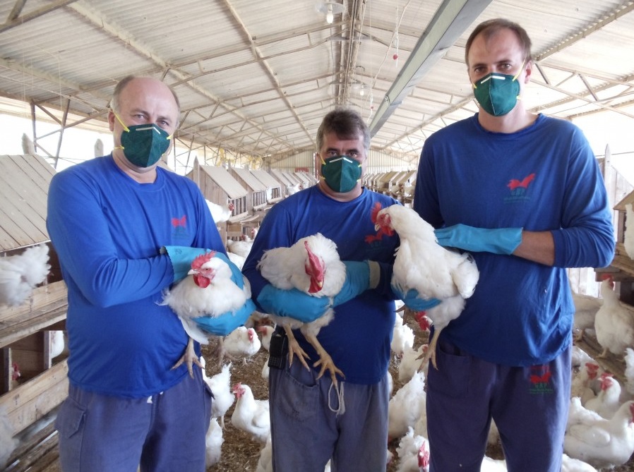 3 Marias Agronegócios comemora dez anos de fundação