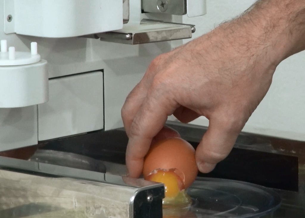 Concurso de qualidade de ovos tem data definida