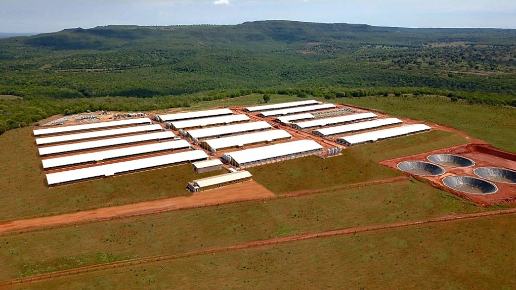 Granja Rio Verde representa um marco para expansão da Suinocultura