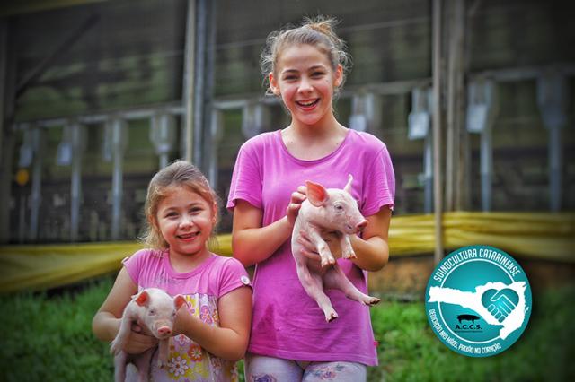 “Suinocultura catarinense: dedicação nas mãos, paixão no coração”