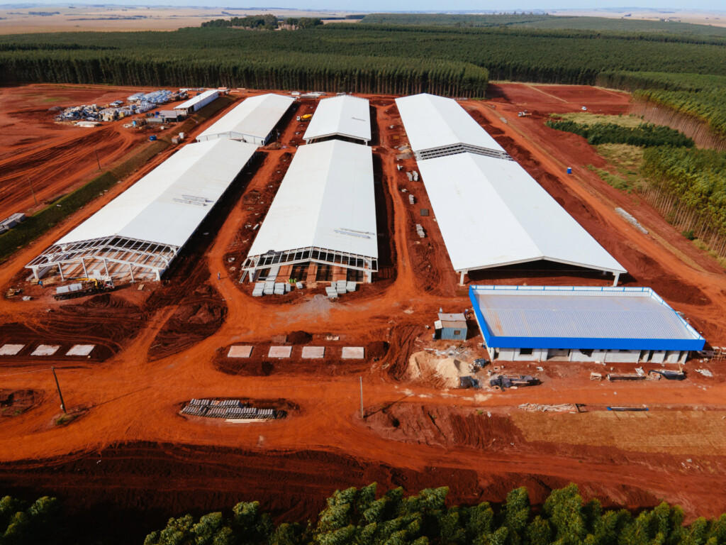 Unidade da C.Vale vai produzir 160 mil leitões/ano