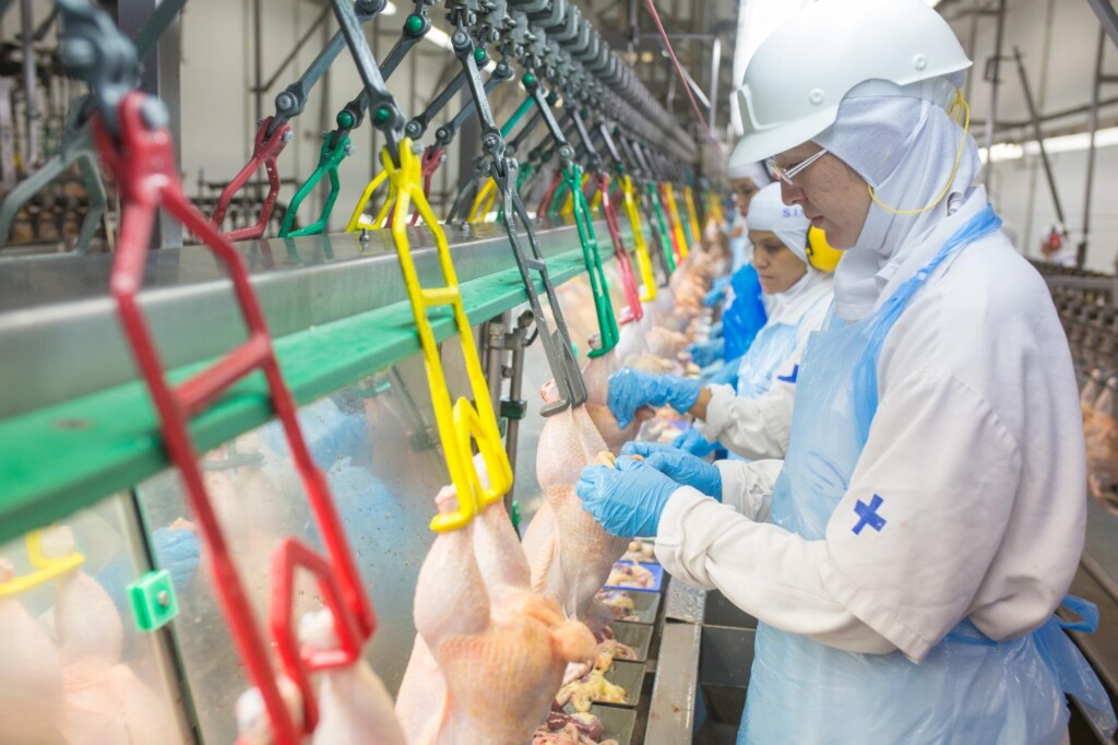 Lar comemora 20 anos de avicultura