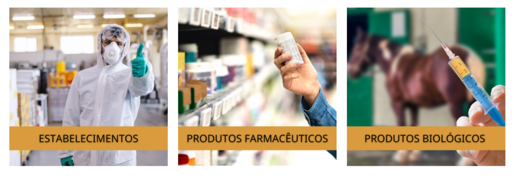 Ministério da Agricultura lança painéis sobre estabelecimentos e produtos de uso veterinário