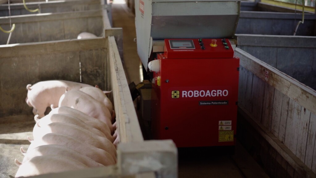 Disparam encomendas de robô brasileiro que alimenta suínos enquanto toca música clássica