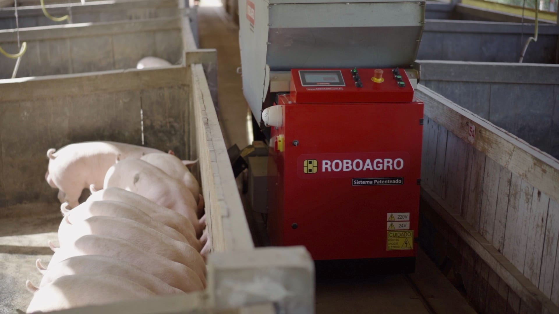 Disparam encomendas de robô brasileiro que alimenta suínos enquanto toca música clássica