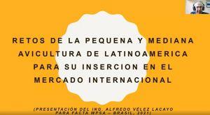 Conferência FACTA WPSA-Brasil 2021 debateu a necessidade de inserir a pequena e média avicultura no mercado internacional